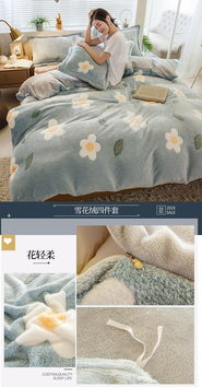 朵西娜 ba版雪花绒四件套冬季加厚保暖双面绒被套珊瑚绒床单人三件套床上用品